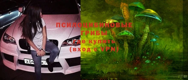 ешки Бугульма